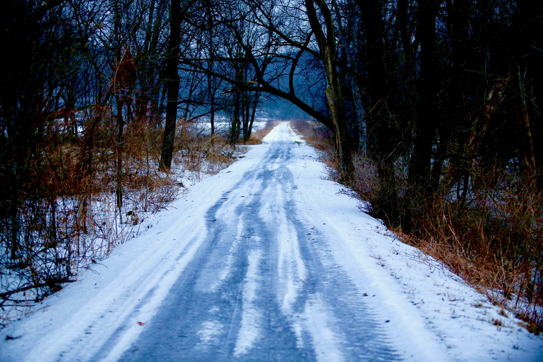 Winter 3